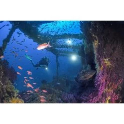 Combinaison Plongée Semi-étanche Femme Néoprène 7mm - Bleu Gris -Freedive Soldes combinaison plongee semi etanche femme neoprene 7mm bleu gris 1