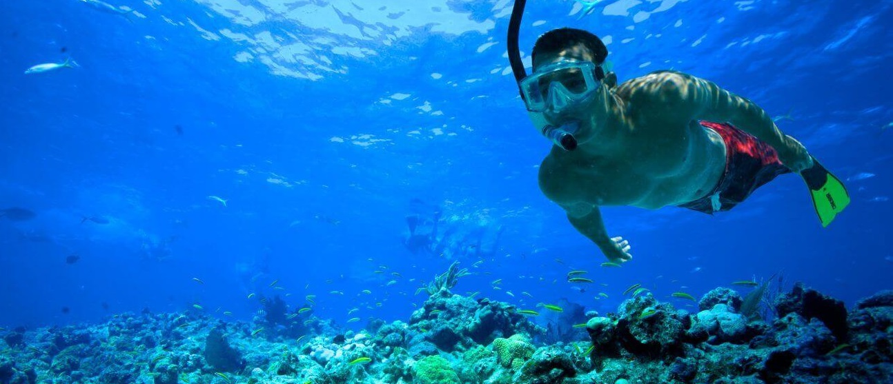 Freedive Soldes -Freedive Soldes snorkeling